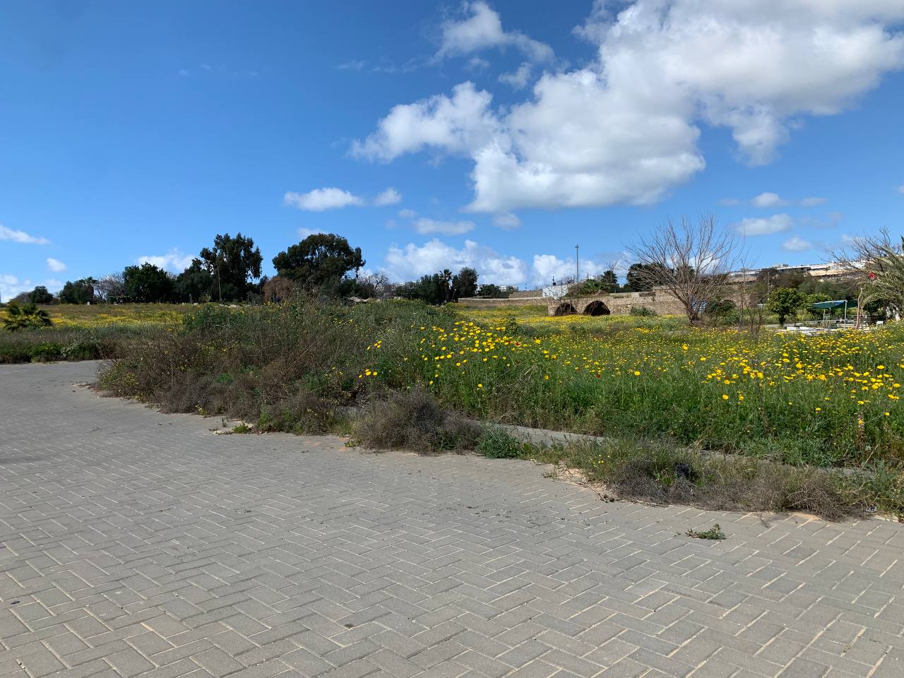 photo1678276195 (18).jpeg